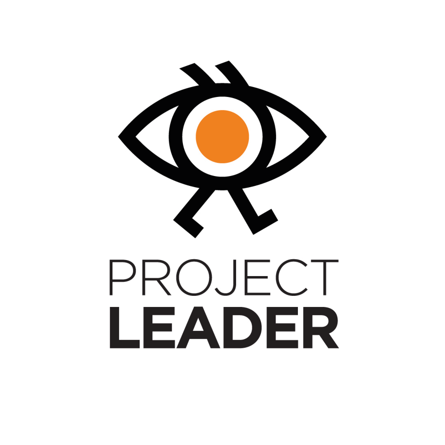 We are looking for NEW PROJECT LEADER